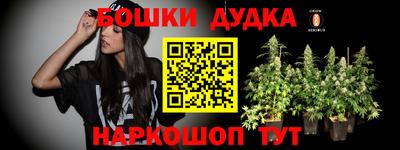 дживик Ставрополь
