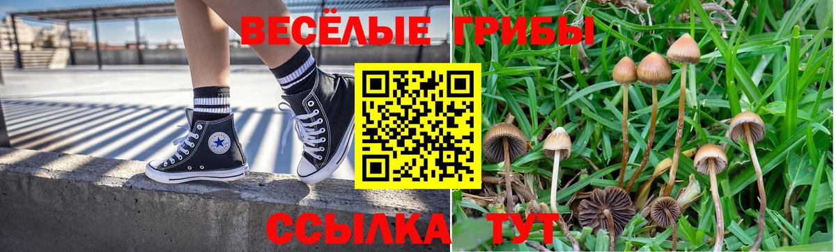 Галлюциногенные грибы ЛСД Нефтекумск